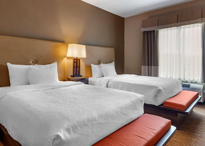 Best Western Plus Dfw Airport Suites